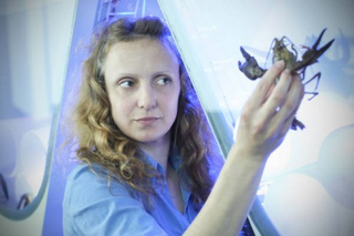 Illustration for article titled The Artist Who Helps Scientists Imagine the Future of Evolution